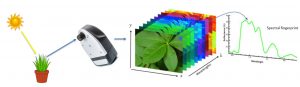 hyper spectral camera – フォトテクニカ株式会社